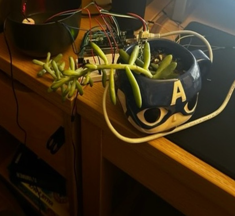 Photo of the automatic plant watering system hardware